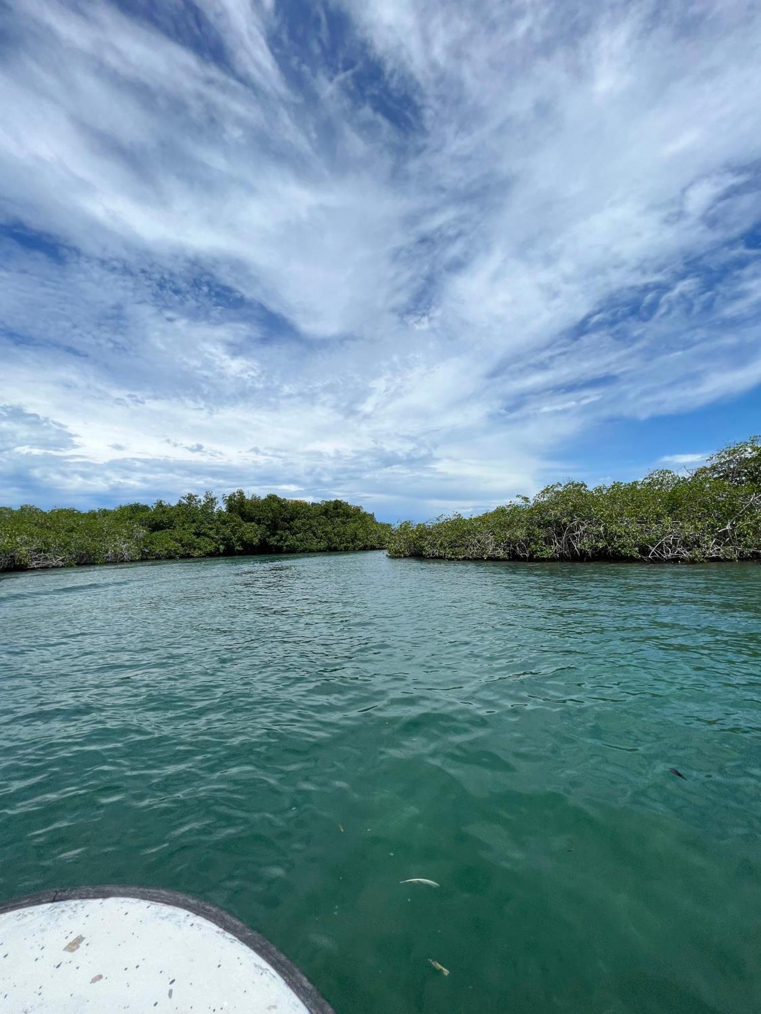 Tintipan Hotel Tintipan Island エクステリア 写真